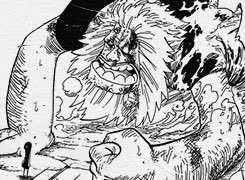 Shanks tweet media