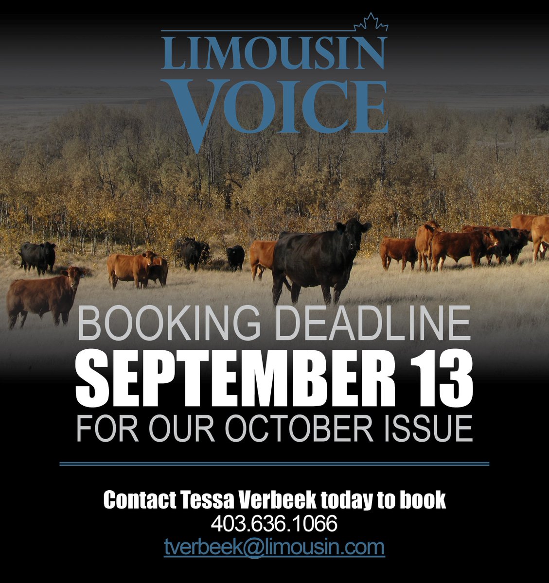 1 WEEK LEFT TO BOOK YOUR ADVERTISING SPACE.
The Limousin Voice magazine is the progressive Limousin breeder's most effective advertising vehicle to reach fellow breeders, international subscribers &amp; every commercial bull buyer who has purchased a Limousin bull in the past 3 years