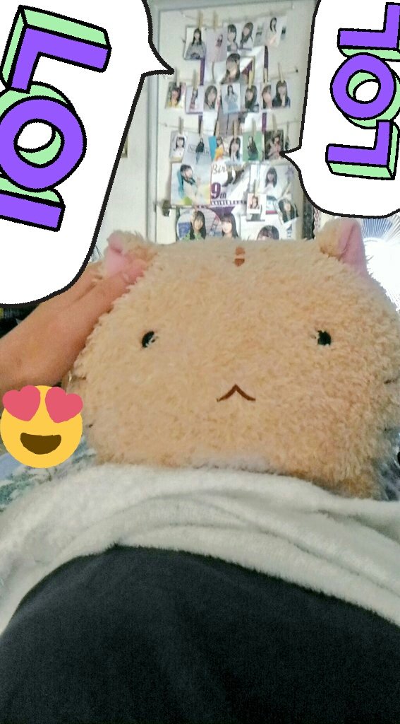 ポヨポヨ観察日記