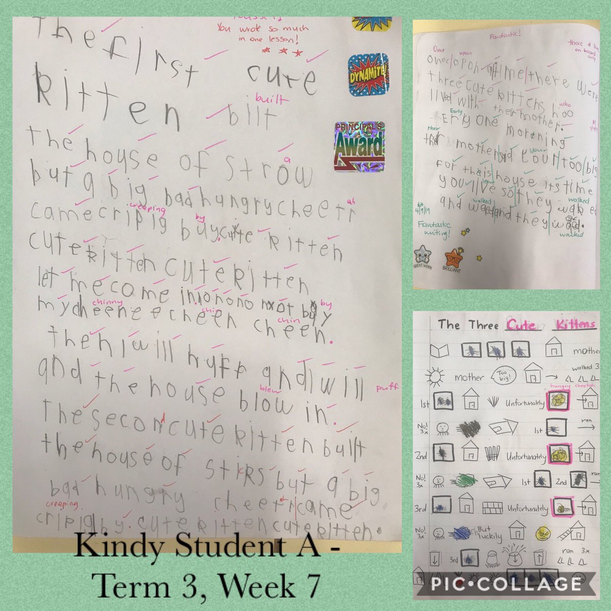 Nicole Barsony tweet media