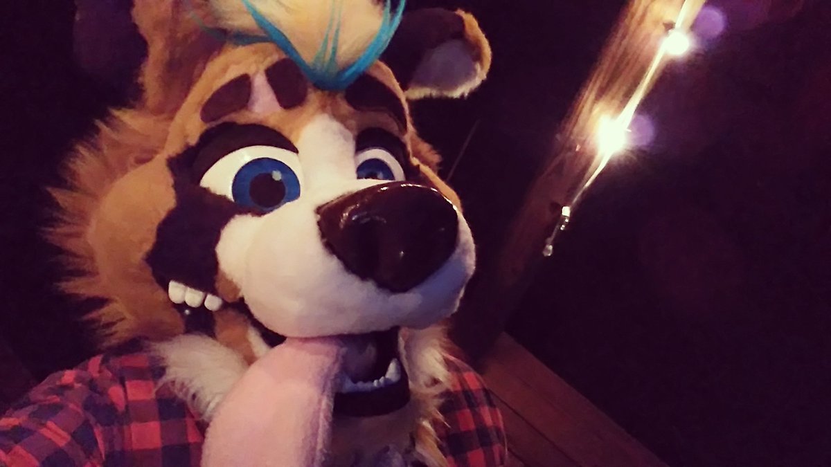 DoonerWolverton's tweet photo. Happy Fursuit Friday Everyone❤ it's already September, fall is just around the corner.. Are you ready?😁 wishing you a safe and fun weekend❤
#sheptember #fursuiter #FursuitFriday #furryfandom #pawsitivefurry #keeppawsitive #Doonerwolverton #Dooner https://t.co/RiGcM7YYRw