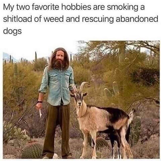 FunnyGotdamn's tweet photo. Don’t shop, adopt! https://t.co/ott9M8fzDo