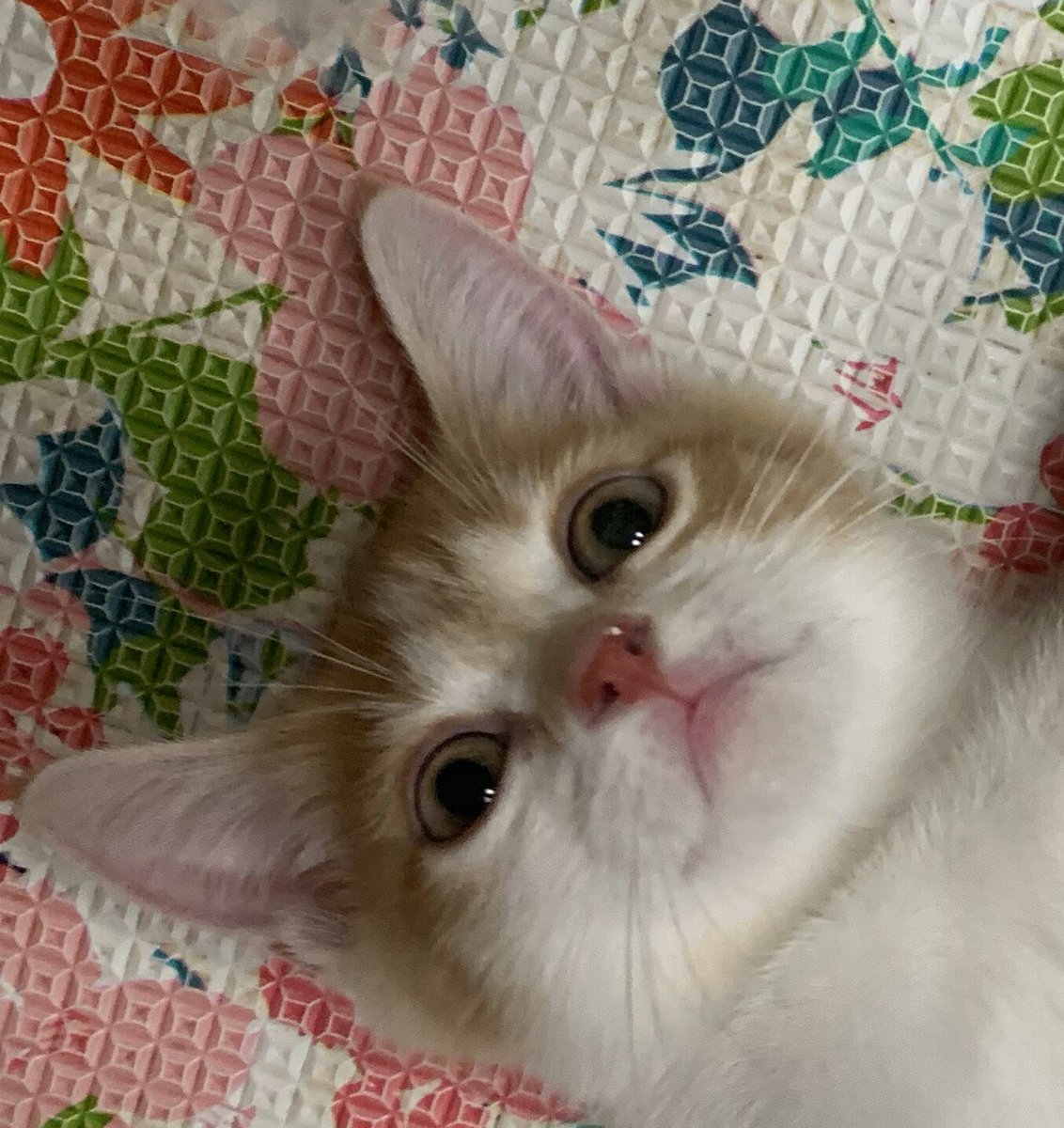 눈 초롱초롱🌟