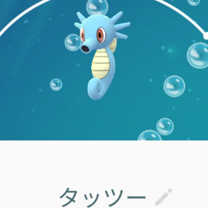 Gaji タッツー作りました タツノオトシゴのポケモンですね ちょっと重そうな肥満気味のタッツーです 粘土 ポケモンgo