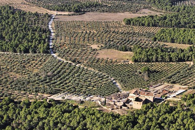 jordipinyolet's tweet photo. Paisatges (des)ordenats amb molta història, a la Vinya Nova en el segle XVI s'hi feia vi pel Monestir de Montserrat.
#MestimoLaMevaTerra #concurs #concursfotografia #Catalunya #MestimoCatalunya @plusfrescsupermercats
#vinyanova #montserratlovers #Mont… https://t.co/kQWeMAyP8T https://t.co/ax3JjUGYUi