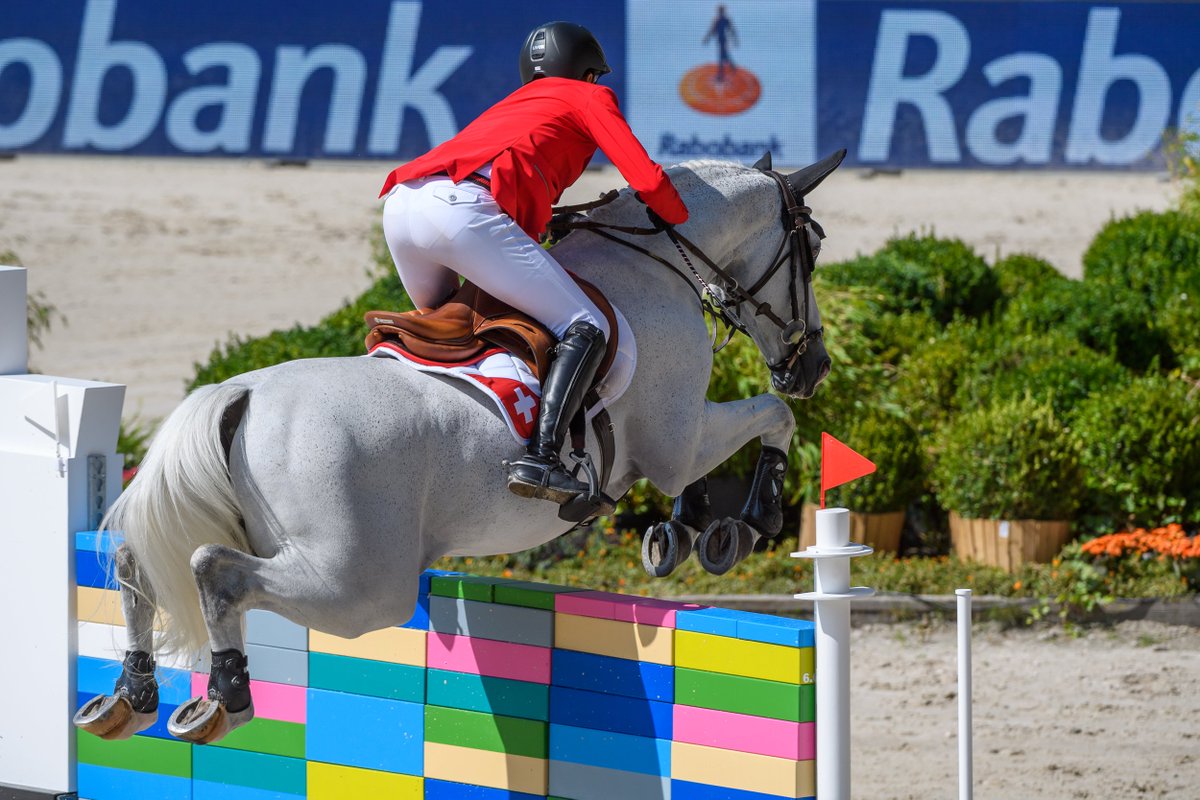 chiorotterdam's tweet photo. European Champion Martin Fuchs and Clooney jumping a container ship. This weekend Rotterdam is celebrating world port days. Of course the port of Rotterdam was one of the typical Rotterdam elements in the jumping course of Longines FEI European Championships.
#wereldhavendagen https://t.co/JrT8jyoGVN