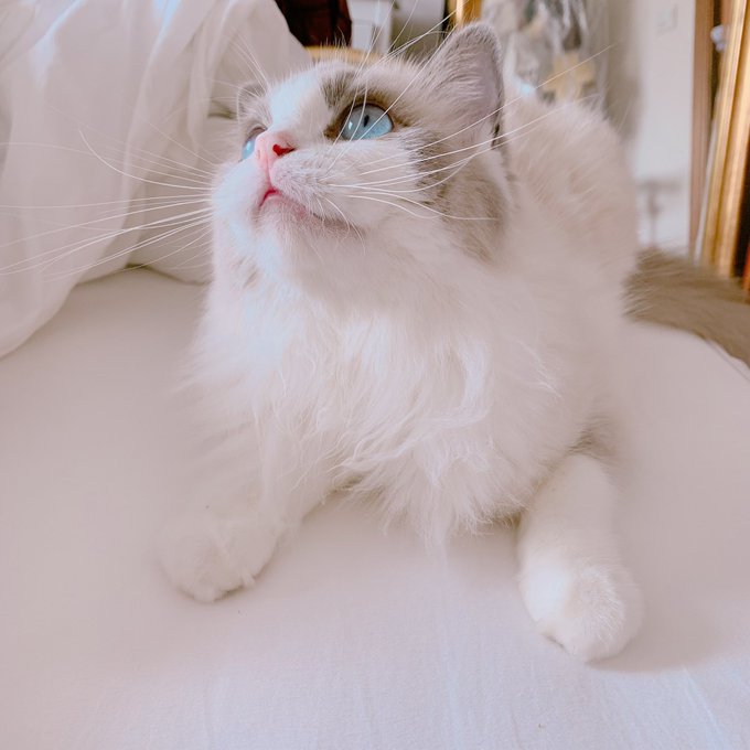 Twitterのコスプレ画像46