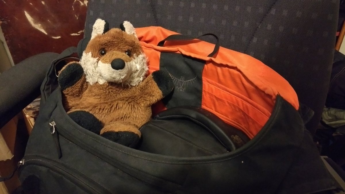 SabCharlie's tweet photo. Early start for @SouthBristolSab today! (Obviously me and @BasTheFox were already awake, we're crepuscular) Off on my first sab of the season!

#KeepTheBan #SabTheHunt #HuntSabs #SabsIRL https://t.co/Vz4lQBuQEn