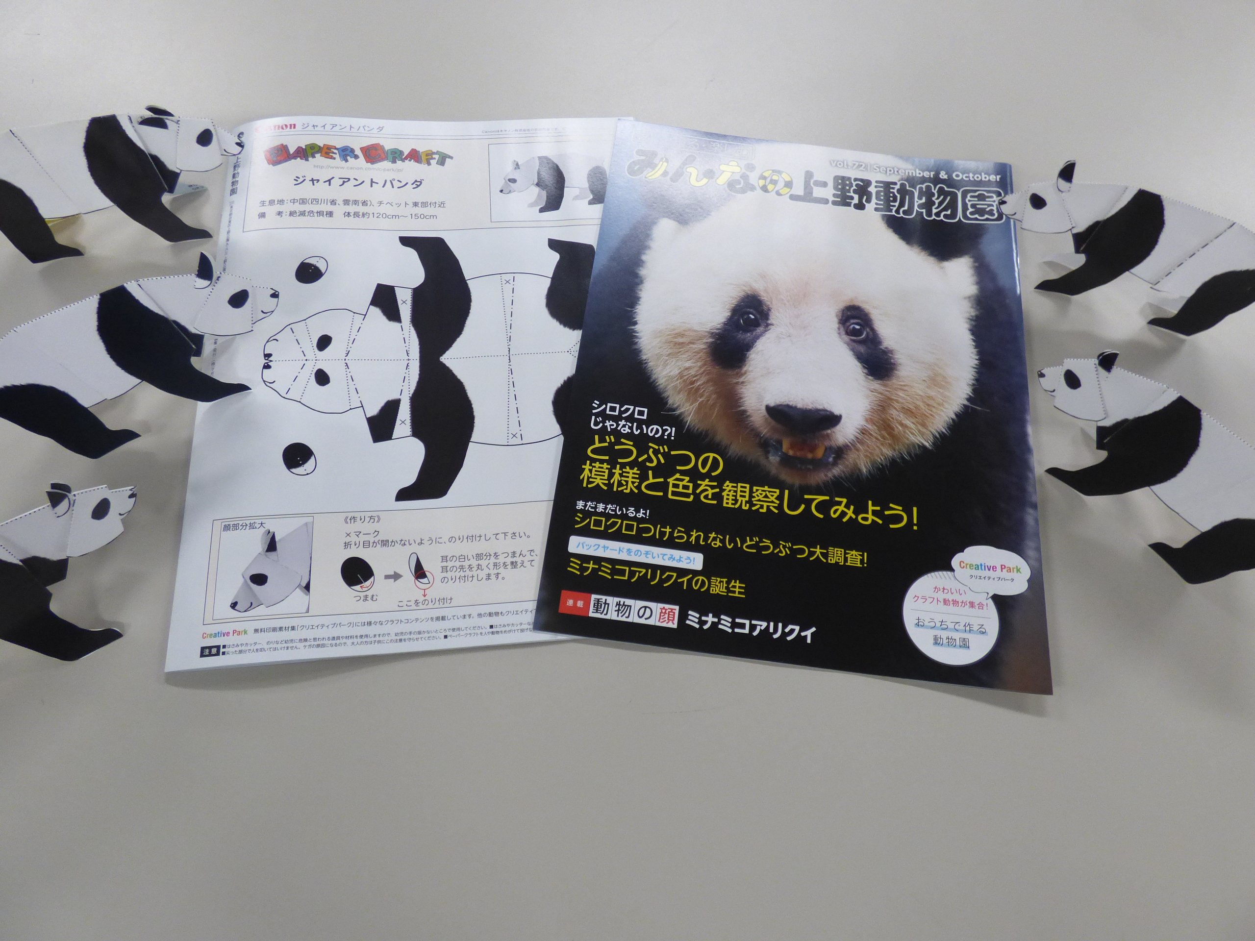 上野動物園 公式 色塗りクイズができる みんなの上野動物園 Vol72 裏面にはジャイアントパンダのペーパークラフトが付いています 自分だけの みんなの上野動物園 を作ってみてください この先ネタバレ注意 表紙になっている ジャイアント