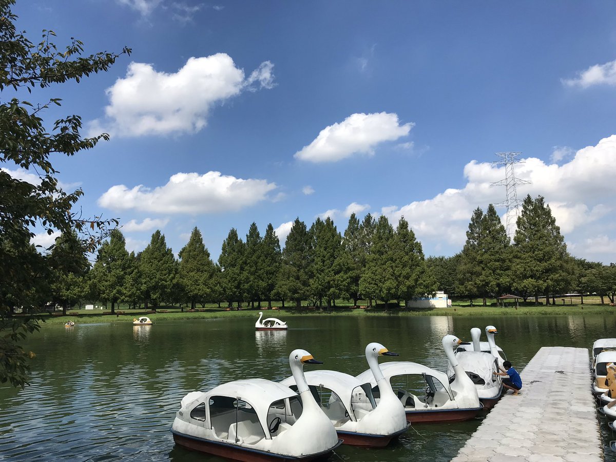 公式 川越水上公園 على تويتر 9月7日ボート営業中 本日よりボート営業開始です ご家族 友達 恋人とぜひご来園ください 営業時間 10 00 16 00 お待ちしております 川越水上公園 Kawagoe ボート レジャー 秋