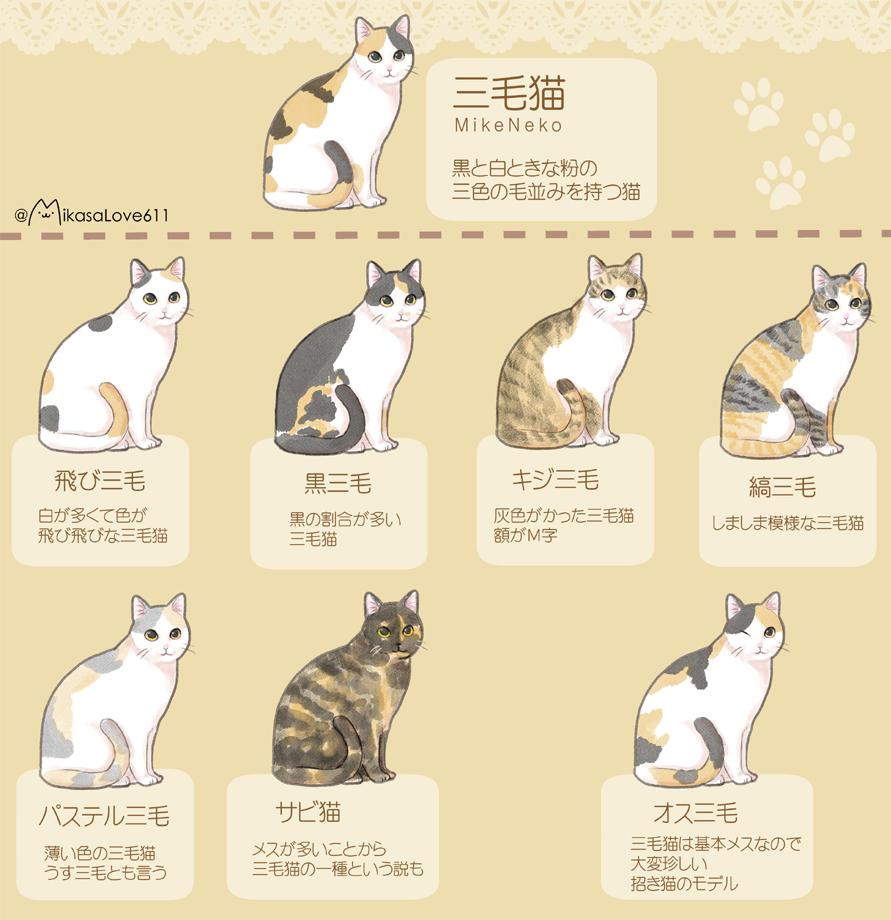 ミカサにゃんの飼い主 三毛猫飼いとして三毛の素晴らしさを広めたいと思い 種類をまとめました 昔落書きした物の修正版です 三毛猫大好きです T Co El1xyd4iry