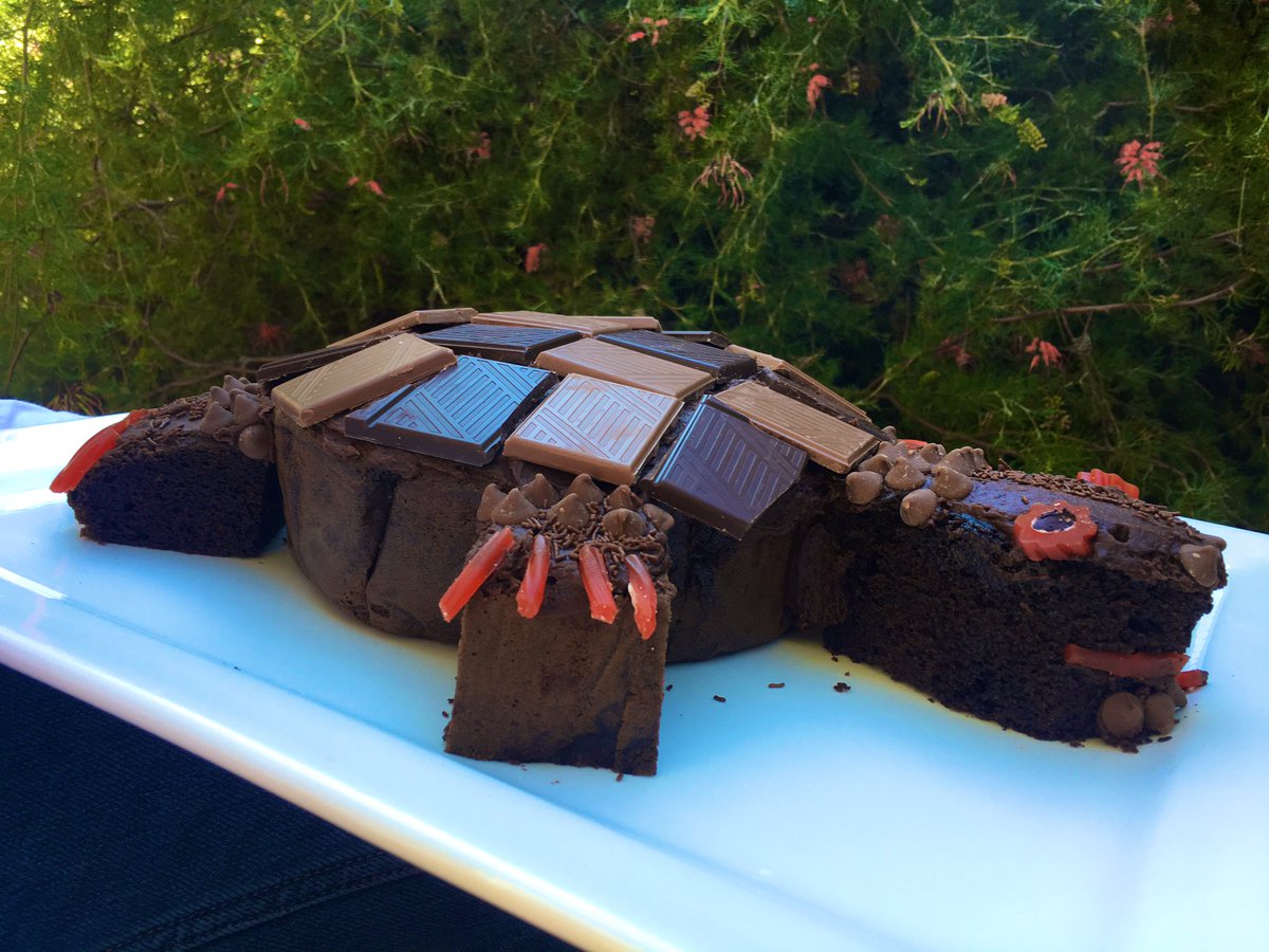 NickiJMitch's tweet photo. My hastily constructed Western Swamp Turtle #TSBakeOff entry made on arrival home from #TSForumWA. Enthusiastically consumed by masters students @BiolSci_UWA in a break in our Threatened Species showcase. RIP Benjamin the last Thylacine @TSCommissioner https://t.co/QPlOgjwgYo