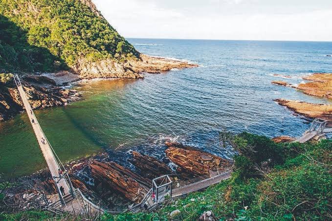 Garden Route National Park tweet media