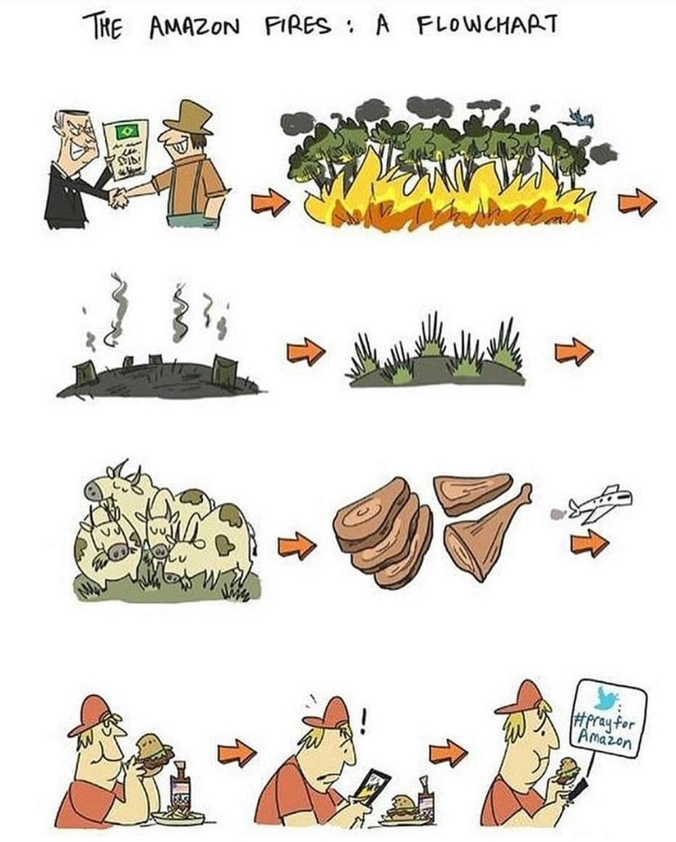 nicoizad's tweet image. #AmazonFires #problemreactionsolution