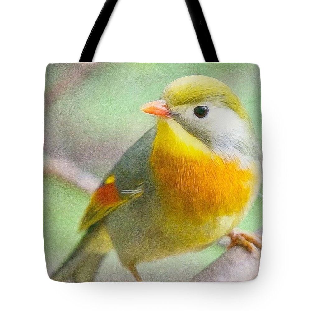 JacquelineManos's tweet image. #FallShopping #FallTotes #ChangeOfSeason #WelcomeFall
#AutumnInNewYork #FallDecor #PrettyFallTotes #LadiesWillLove
#WeekendTote #FallGifts 

Jacqueline-Manos.pixels.com

Easy Shopping! Delivered right to your door!
#LifeIsBeautifulBringItHome
🍂🍁🌿🍁🍃🍂🌺🍁🌻🍁🍂🍁🍁🍁🐿🐿