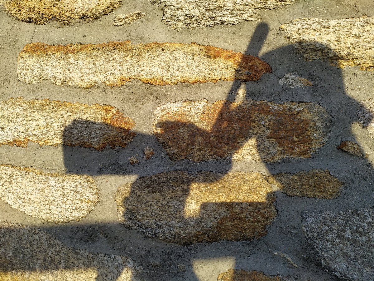 ASandovalRey's tweet photo. Ayer en Estaca de Bares, abrigado del viento de NE por esta pared, 1 fulmar, 160 pardelas pichonetas / h, págalos pomarino, grande, parásito y rabero, charrancito, fumarel común... https://t.co/41Jl32Ptr8