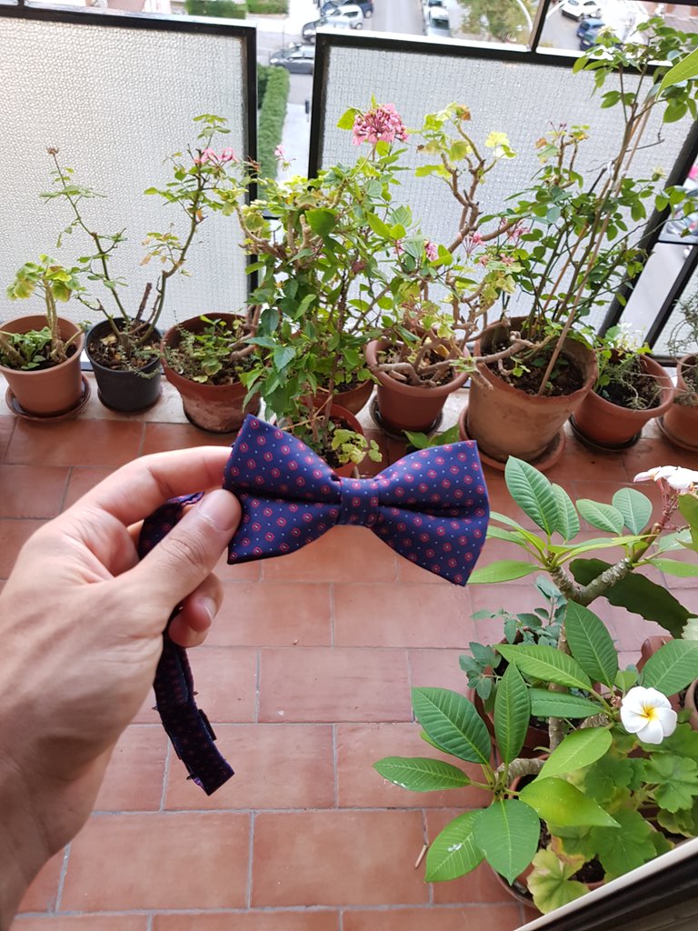 faaabbbio's tweet photo. Speravo de morì prima.
#wdding #papillon #palermo https://t.co/SwbIQajnar