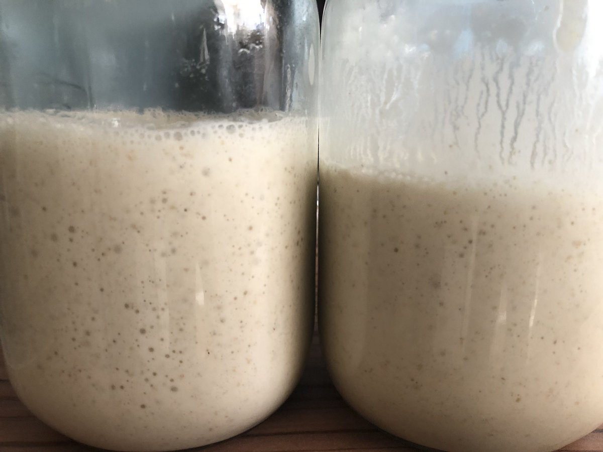 CoastalFlatbreads-HestBank tweet media