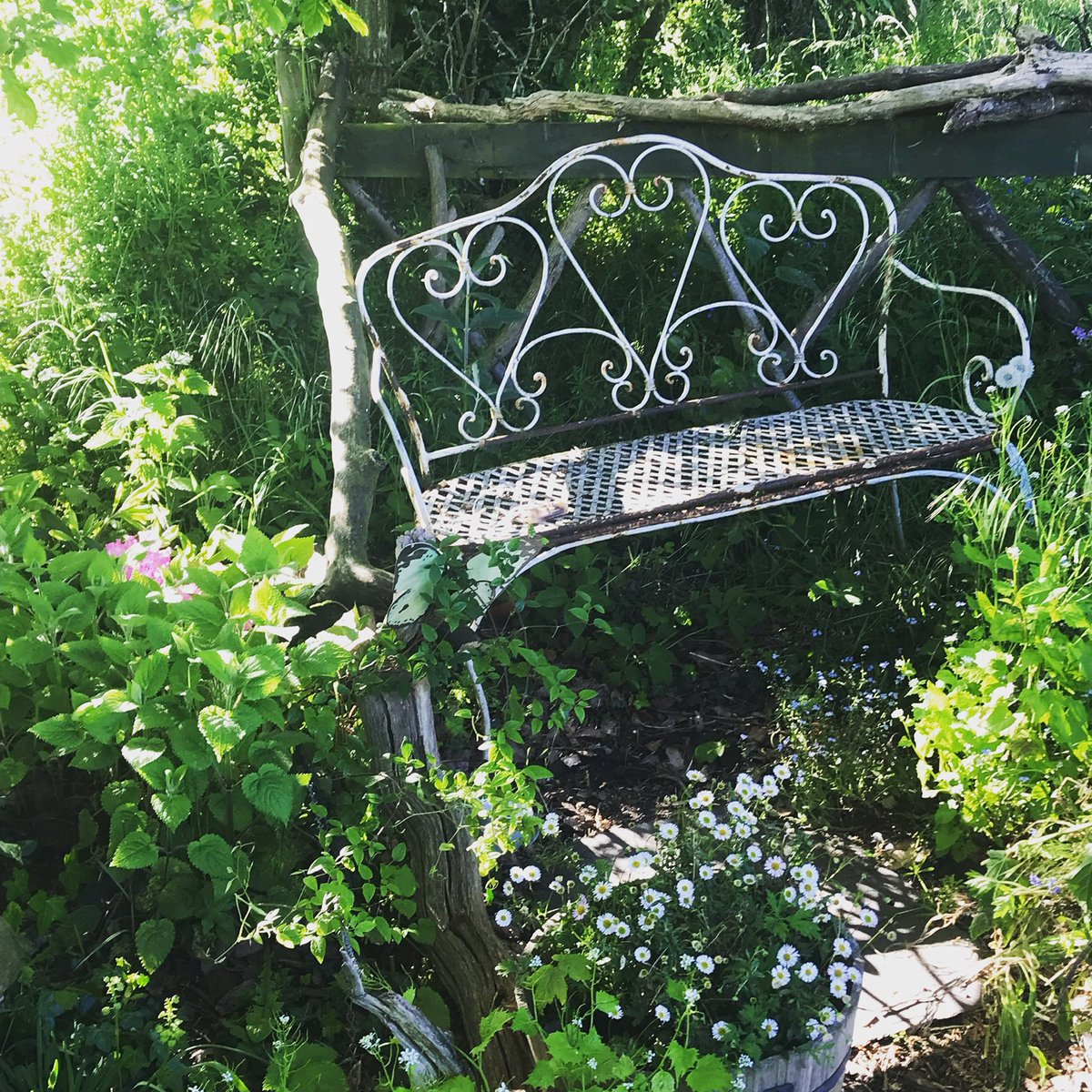 Enchanted Cottage Garden Theecgarden Twitter