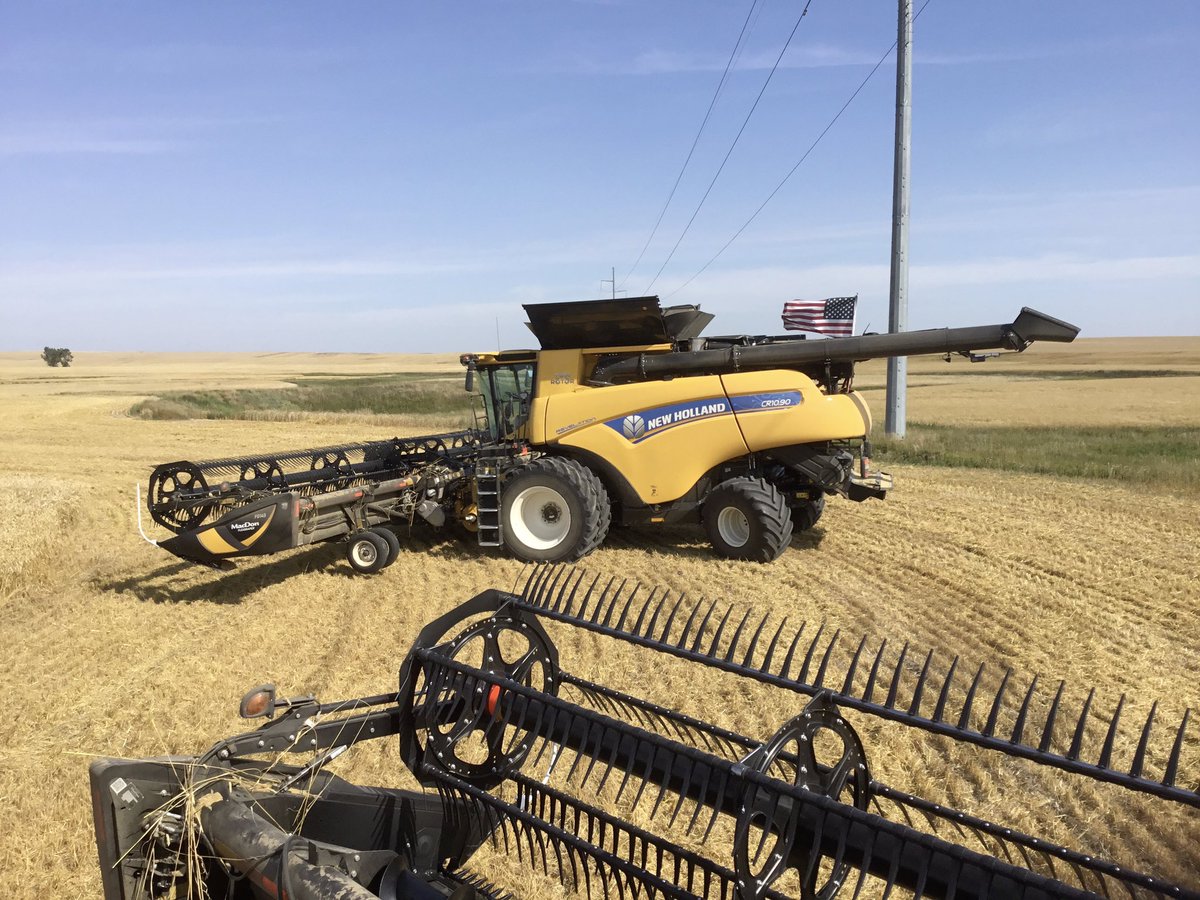 GribbleRC's tweet image. US farmer (&amp;amp; dealer) learning from a couple of days demonstration of the @NewHollandAG CR 10.90 with full automation in #durum  #intellisense certainly has potential.