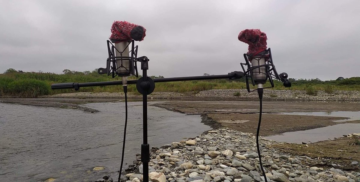 Always good to have a spare pair of socks when you're out in the field  #fieldrecording #Hokkaido #memuearthlab #musicityxmemu #musicity #stereorecording