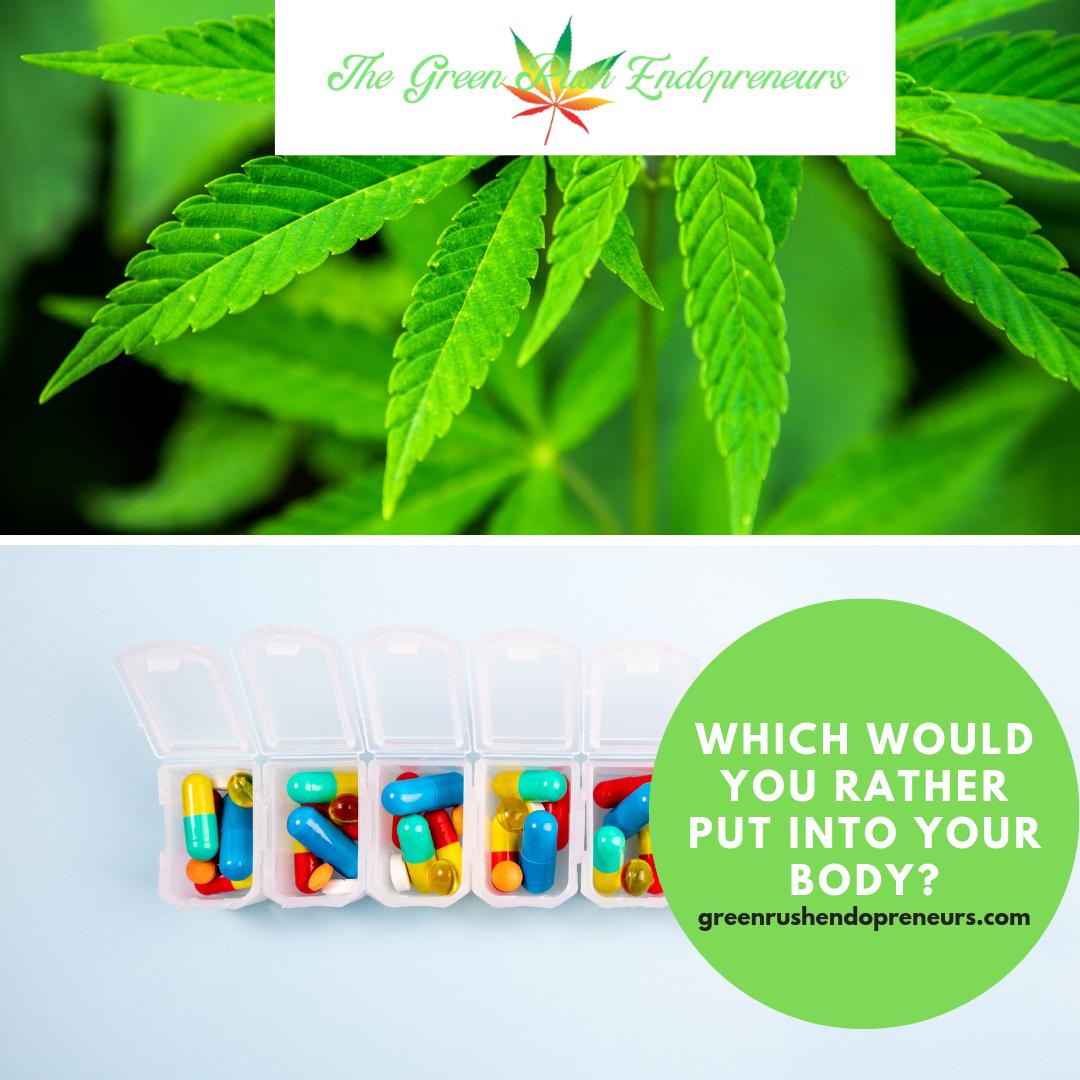 greenrushlove's tweet photo. Join The Green Rush!  People are realizing that big pharma does not have their back as they only grow sicker on medications.  So many of them have started turning to CBD to help with pain management, Anxiety, Depression, and Autoimmune disorders to name a few. https://t.co/1xaSA7fNYj