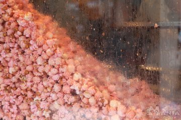 ディズニーポップコーン人気の味ランキングtop5 味ごとの販売場所 値段もあわせて紹介