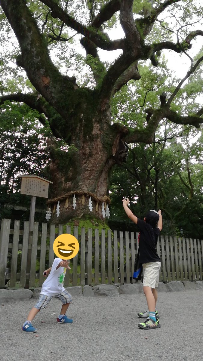 多分、御神木的なやつ。 