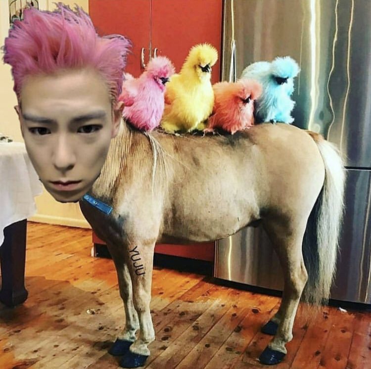 Top_oseung's tweet photo. 背中に弟達を乗せてるのか https://t.co/GuR2clXWJm
