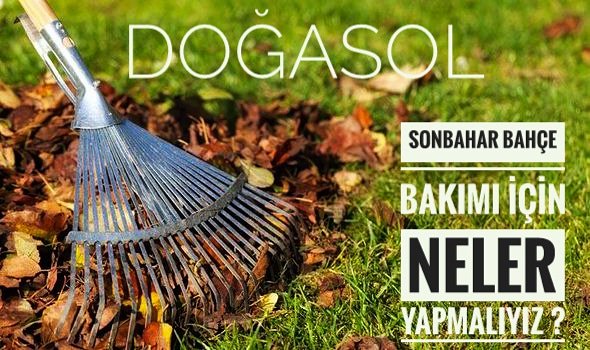 #HayırlıSabahlar 
Sonbahar geldi bahçelerimizde yapılacaklar hakkında bir kaç bilgi için sayfamızı takip edin <a href="/dogasol/">Doğasol</a>
