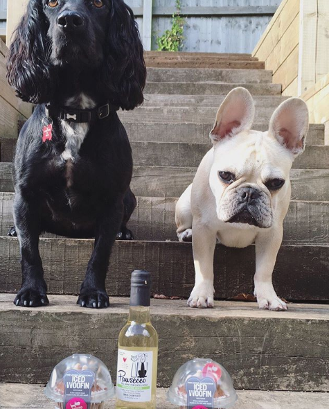 BarkingBakery_'s tweet photo. @frenchiefrancisthefirst
everyone @thebarkingbakery hope your date night went well you two. Kisses &amp; #woofins ggggreat X #cakesfordogs #puppydogpals  #dogbakery #dogcookies #dogtreat #pupcake #dogtreats #pamperedpooches #dogcakes #dog #dogs #woofins #thebarkingbakery #boopmynose https://t.co/ZgTEcv6mrw