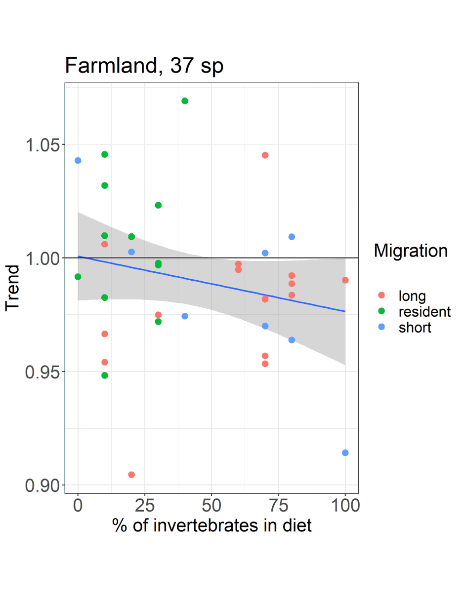 Tomasz Chodkiewicz tweet media