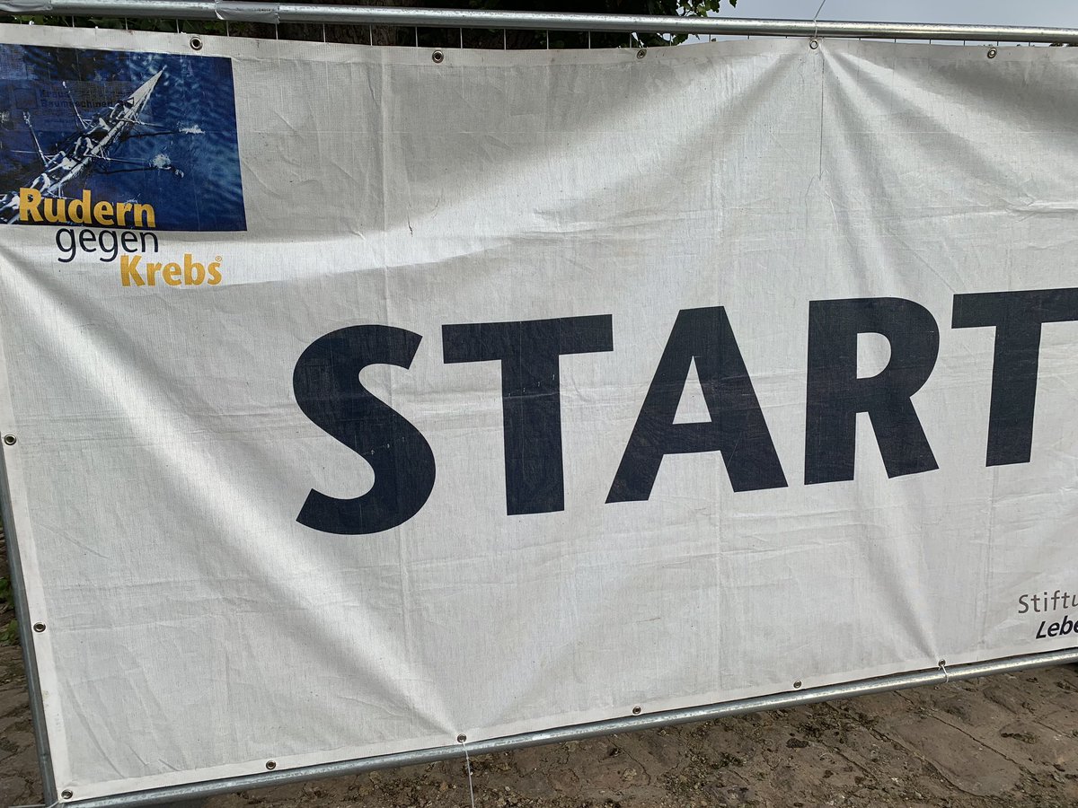 StruemperS's tweet photo. Rain started to kick in 🌦. However our goose-supporters seem to love it. 🚣♂️🦆🦢☺️ #HCMrow #WeAreASWHCM #RudernGegenKrebs #FightAgainstCancer #Heidelberg https://t.co/g5jA0iOrSQ