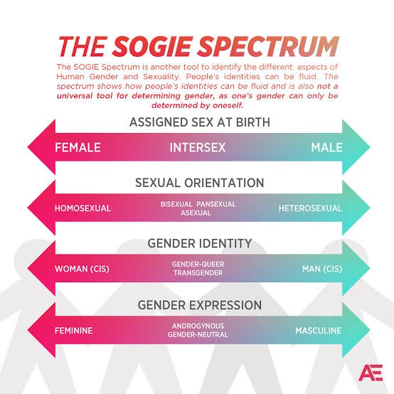 5. Now that we've covered the basics, try to identify your SOGIE using this SOGIE spectrum (from  @assortedge). As a sample, here's mine:Sexual Orientation: bisexualGender Identity: cisgender womanGender Expression: feminineQuote tweet/reply with your answers! :-)