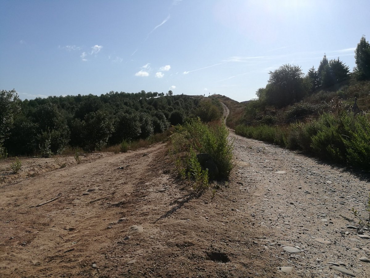 DuatlonLogro's tweet photo. Ultimando los preparativos, bienvenidos al famoso sube y baja!! 

🚵🚵🚵🚵 https://t.co/QCYuEAXiQA