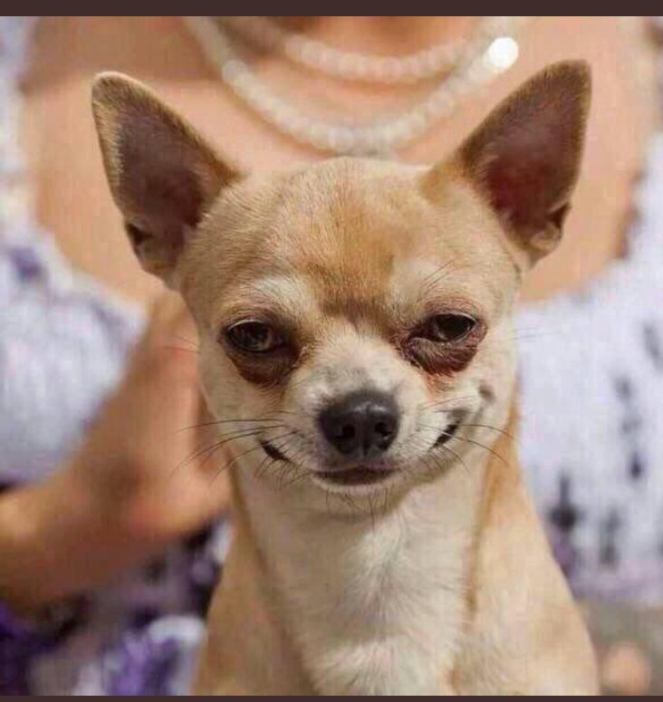 ravelord234's tweet photo. Drake releasing in november
Kanye releasing in november
The weeknd releasing in november
Rihanna releasing in december
Adele releasing in december

Yall smell that self sabotage? https://t.co/RLZ5gb18lY