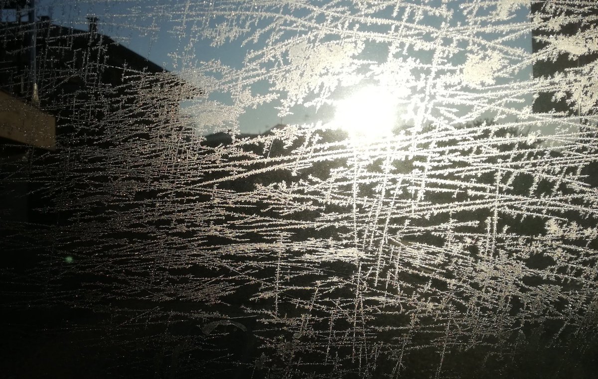 Agustín Sandoval tweet media