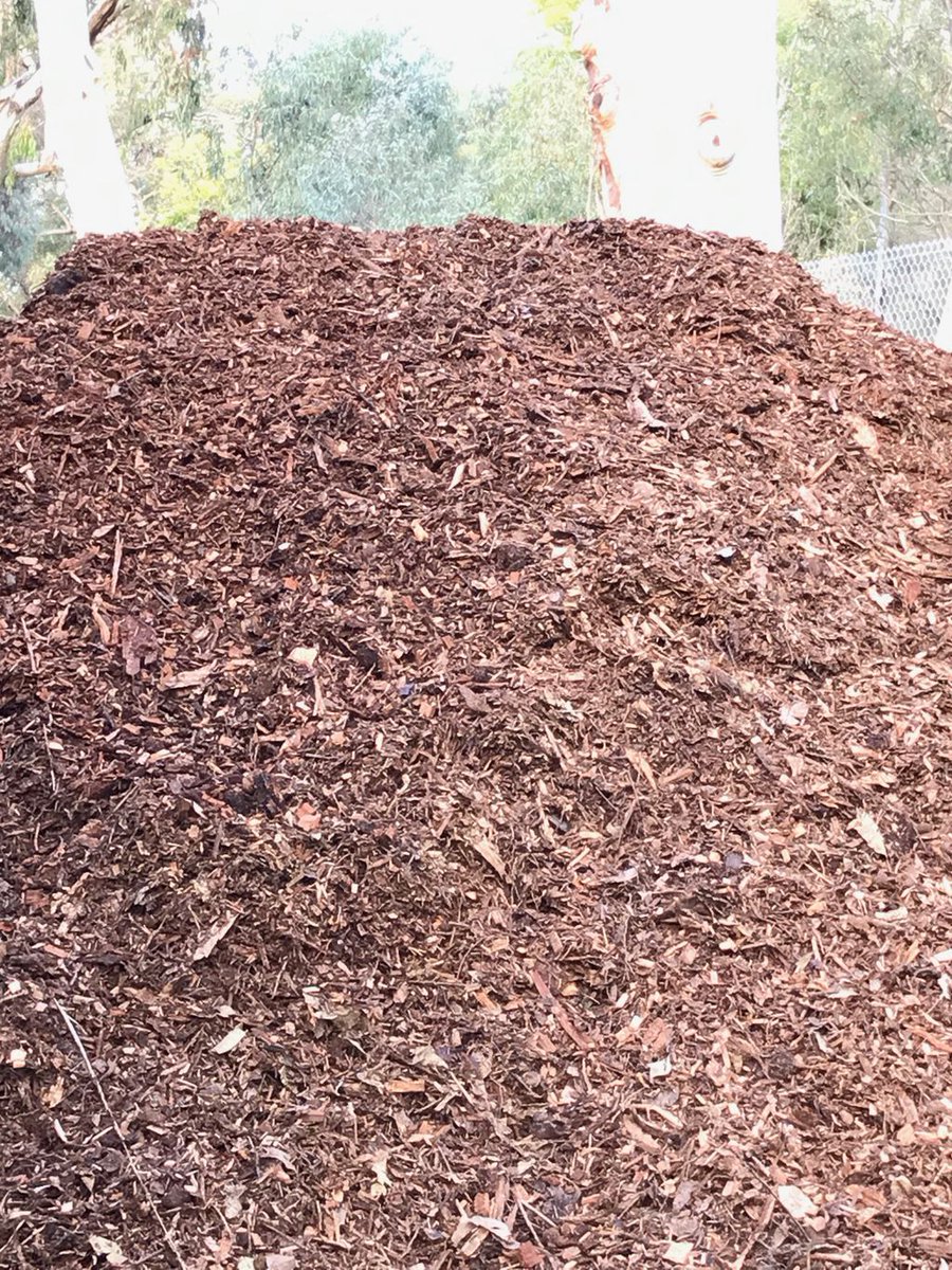 Wood chip mulch protects soil microbes from UV rays, helps keep moisture in the ground and can provide conditions for fungi to thrive - that's good 😎