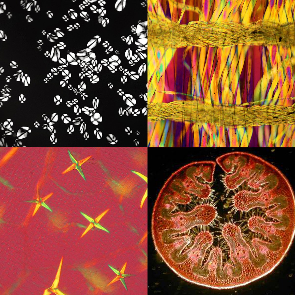 A series of close-up views, showing abstract details and colourful patterns