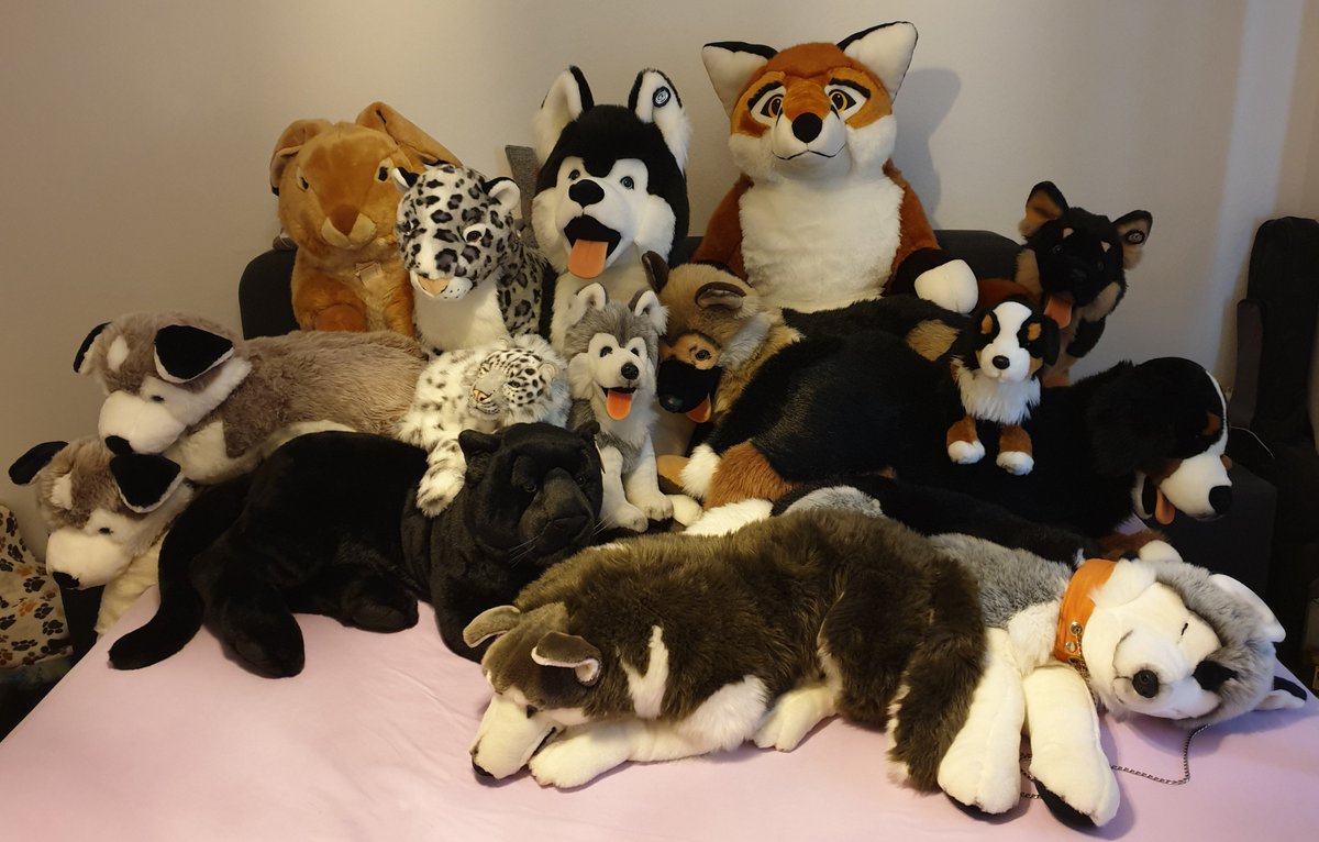 Jack_Mirror's tweet photo. My Big Plushies :3

Thank to #PlushLife_eu and #Plushiepalace <3 https://t.co/JHXSoPTEZK