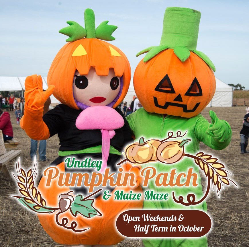 Only ONE MONTH to go until we open for the 2019 Undley Pumpkin Patch &amp; Maize Maze on 5th October! We'll be open weekends and half-term in October. Come along and PYO! #pumpkins #pyo #october 

See our website for more details:
undleyfarmevents.co.uk/events/undley-…