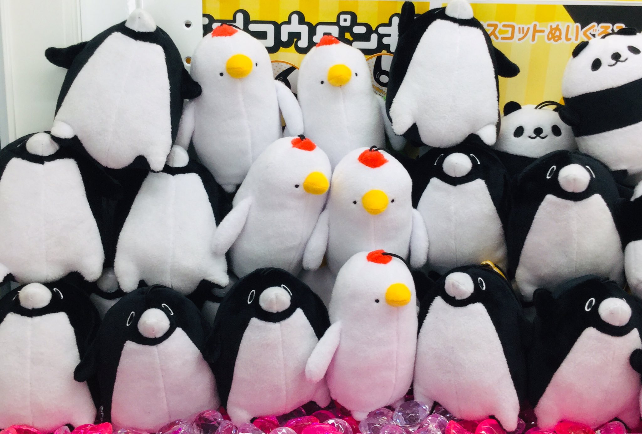 人気 テイコウペンギン ぬいぐるみ キャラクターグッズ Froz Sa 人気 テイコウペンギン ぬいぐるみ キャラクターグッズ Froz Sa