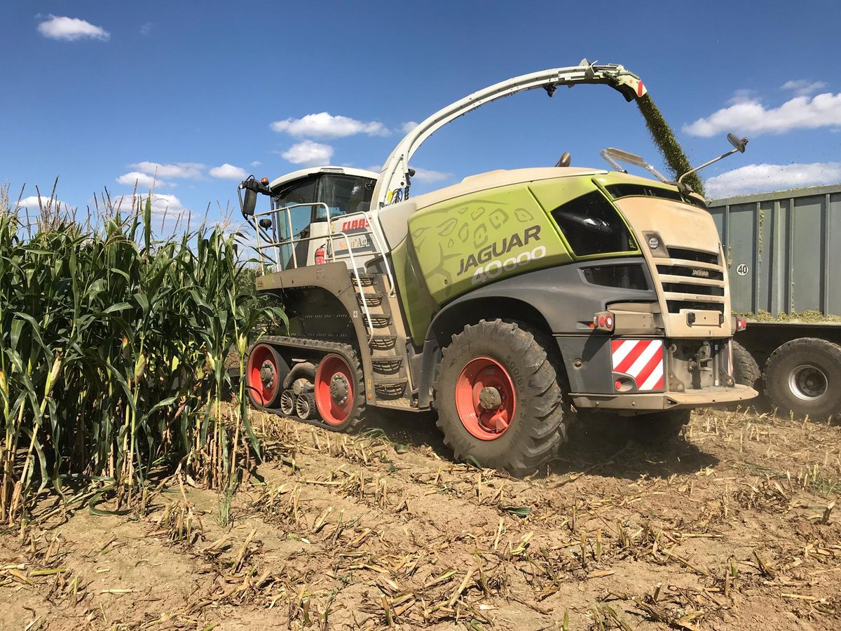CLAASFrance's tweet photo. Toute première mise en route de la #JAGUAR 960 #TERRATRAC en France 🤩

C’était cette semaine chez notre concessionnaire - La Motoculture de L'Oise. Nous remercions à cet effet l’entreprise ETA Solu'Agri pour leur confiance 👍

#Harvestingthefuture #CLAASPower 
#JAGUAR40000 https://t.co/vTIps4Bstb