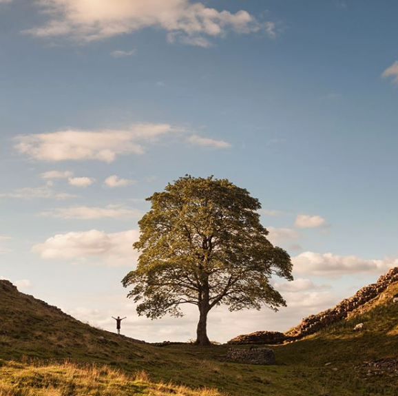 Such a beautiful shot! 🌳
Northumberland is just filled with so many beauty spots
What's everyone up to this weekend? 
📸 lovegreatbritain_nl via IG

#Northumberland #SycamoreGap #NorthEast