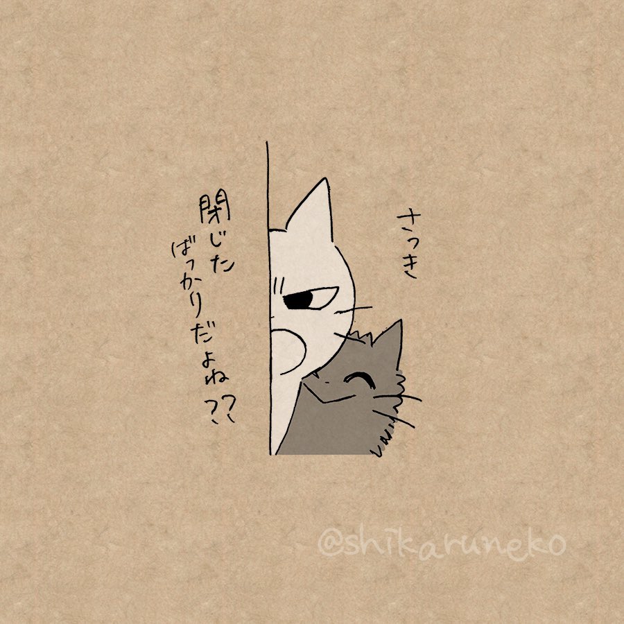 閉じても閉じてもまたツイッターを開いてしまう人と、しかるねこと、あまやかすねこと、ながめるねこ 