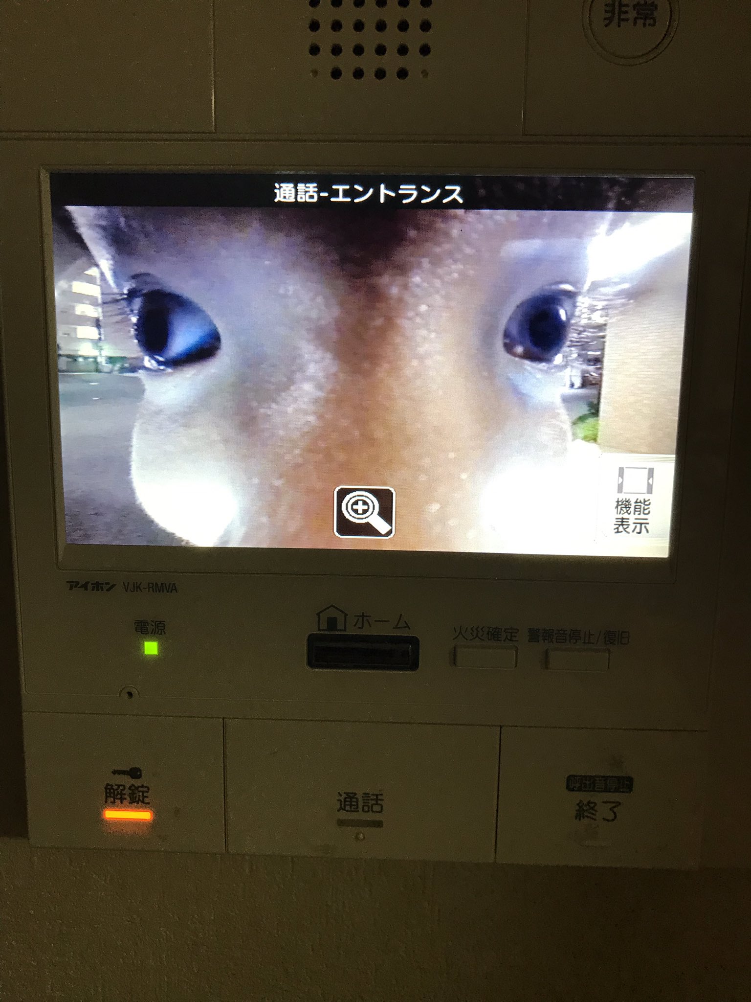 Lil 炒飯 チャイムが鳴ったからインターホン見たらこれだったから人生で初めて恐怖のあまり尻もちをついた Lil 炒飯 チャイムが鳴ったからインターホン見たらこれだったから人生で初めて恐怖のあまり尻もちをついた