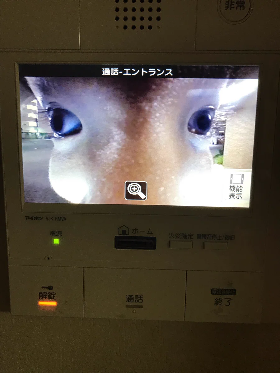 インターホンに映った恐怖の顔