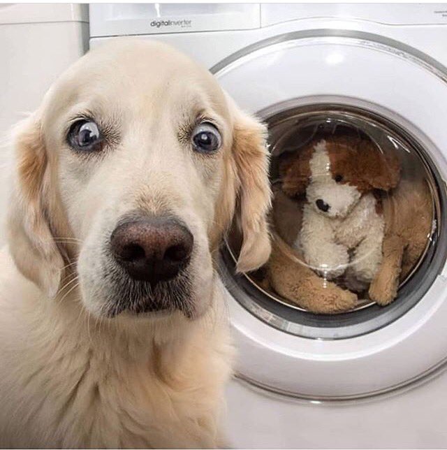 😆