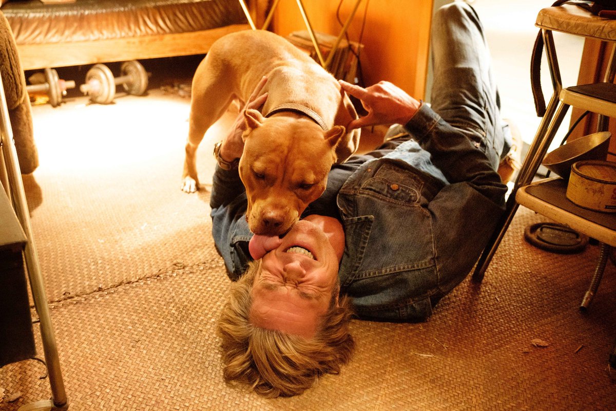 ソニー ピクチャーズ映画 公式 ワンハリ 舞台裏 クリフ を演じたブラッド ピットと 彼の愛犬 ブランディ を演じたピットブル犬のサユリ
