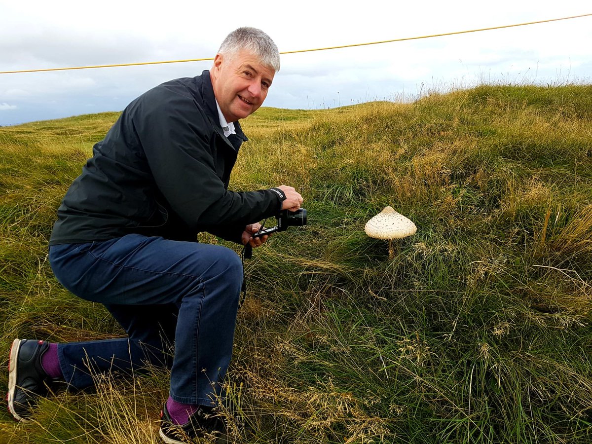 BTEcology's tweet photo. Superb weather for attendance @WalkerCup hoylake supports great flora some massive shaggy parasol oh and possibly natterjack toad!! #golfcourseecology #GEA20 https://t.co/xOXwAmWaak
